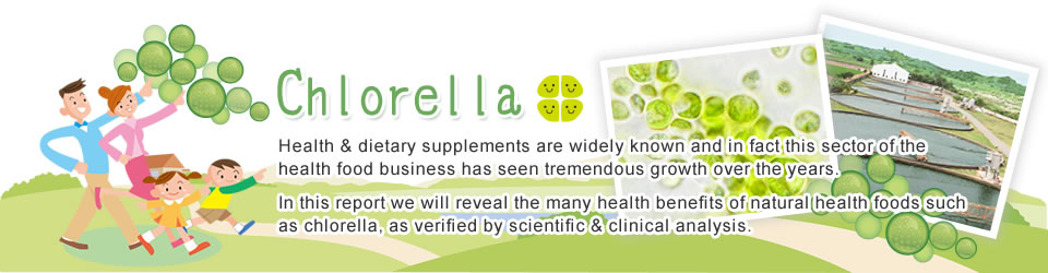 Chlorella