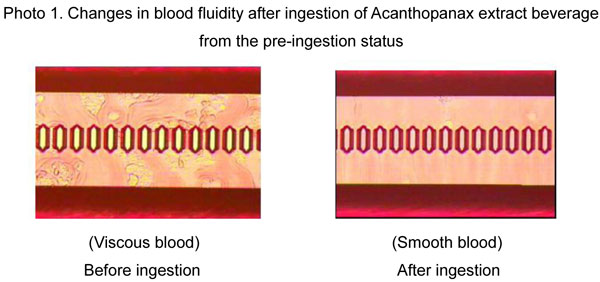 Fig2